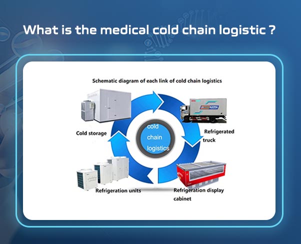  What is the medical cold chain logistic ? 